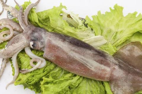 鱿鱼是发物吗?鱿鱼是海鲜吗?