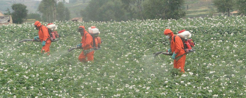 一桶农药加入多少红糖好（一桶农药加入多少红糖好一点）