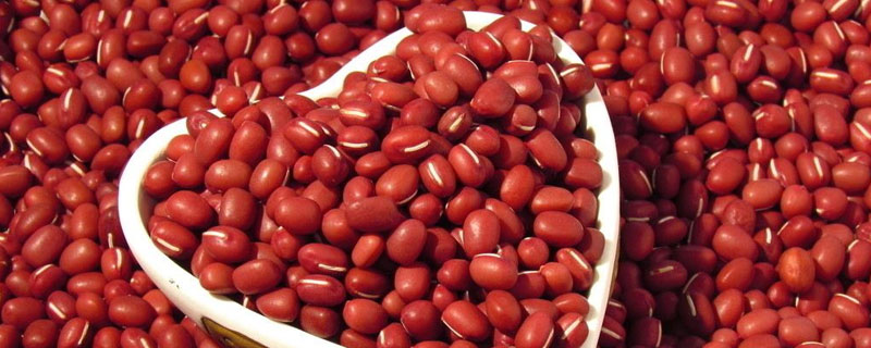 红小豆种植时间和方法（北方红小豆种植时间和方法）