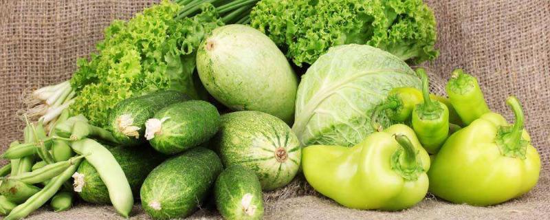 绿色蔬菜有哪些 常见的绿色蔬菜有哪些