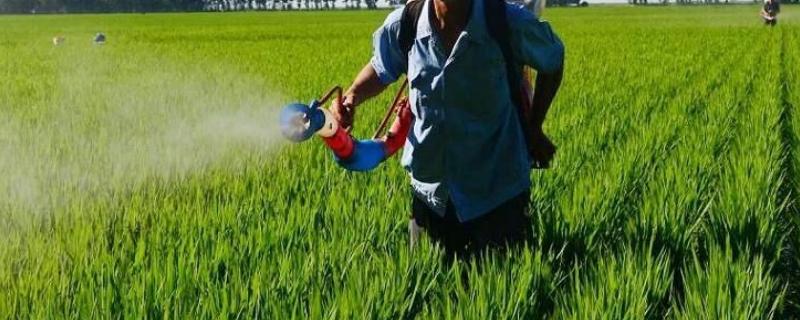 草甘磷钾盐对土壤有残留吗,草甘磷对土壤的危害