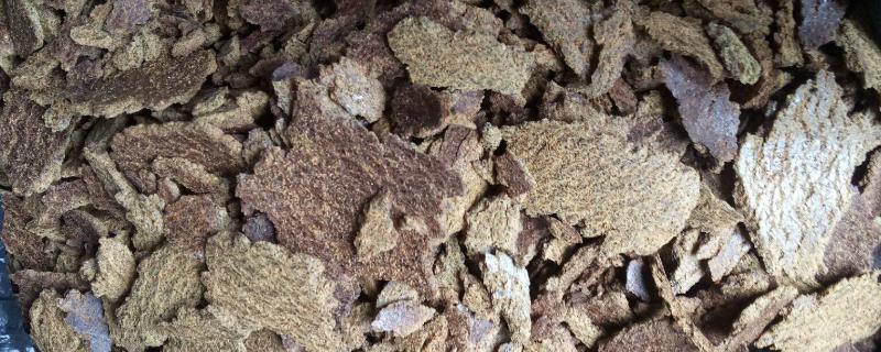 油菜籽饼怎么做肥料，怎样发酵（油菜籽饼怎么做肥料,怎样发酵好）