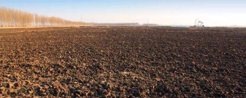 盐碱地用一铵还是二铵，怎么改良