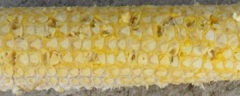 多少玉米芯出一吨糠醛 生产一吨糠醛需要多少玉米芯