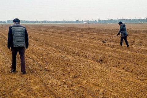 一年四季的农事有什么