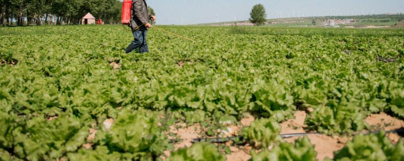 使百克咪鲜胺使用说明,百泰和咪鲜胺能不能配