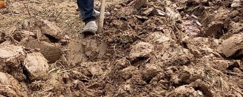 可持续农业主要从哪些方面考量,秋季的农业活动有什么冬季的农业活动有什么