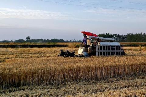 一年四季的农事有什么