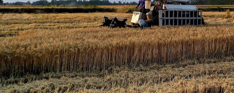 一年四季的农事有什么 一年四季的农事有哪些