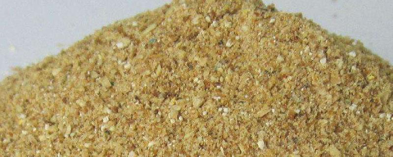 一斤浓缩料拌几斤玉米（一斤浓缩料拌几斤玉米猪长得快）