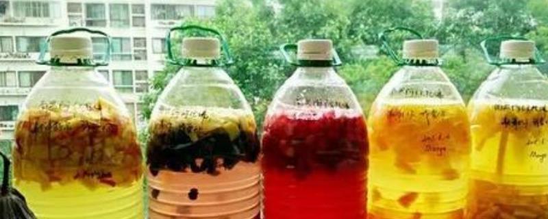 自制酵素发酵肥料,需要多长时间才能使用