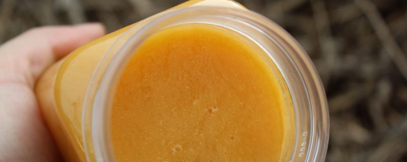 酵母菌繁殖一代需要多少时间,繁殖的主要方式是什么