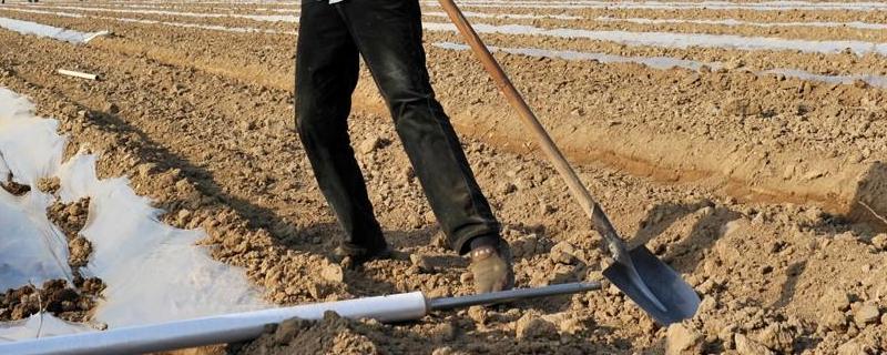 农业包括哪些行业,农业地域类型及特点