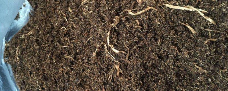腐叶土用什么药杀虫,什么样的腐叶土有营养