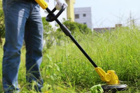 春季有哪些农活