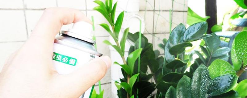 杀虫气雾剂残留期多久,可以喷花卉吗?可以喷蔬菜吗?