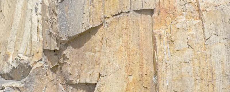 土质分类五类土及照片 土质分类