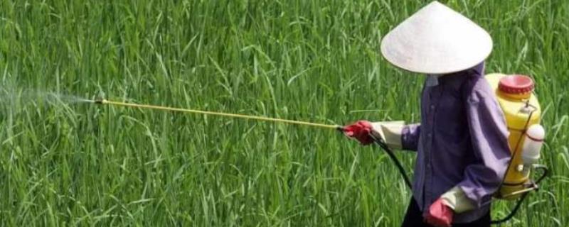 农药残留属于什么危害，农药包装废弃物怎么处理