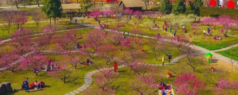 休闲度假农业包括,需要满足的条件有哪些