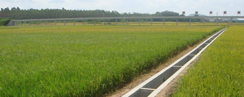 我国混合农业主要分布在哪里,特点是什么