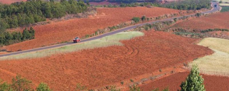红土地适合种植什么经济作物,什么药会导致土地不长庄稼