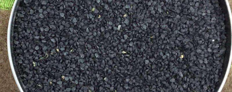 韮菜籽种植的栽培技术，几天能发芽（韮菜籽的种植方法）