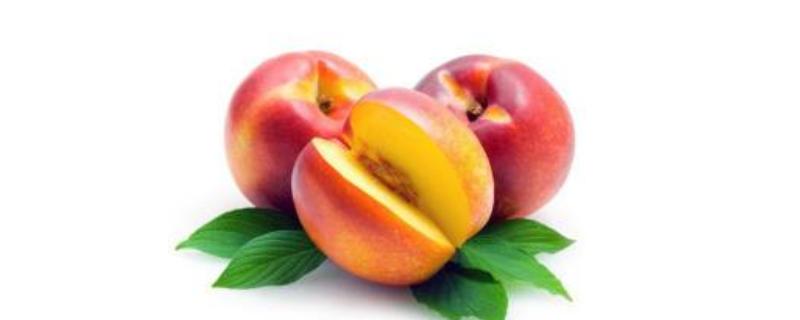 中油22号油桃品种介绍，栽培技术介绍（中油22号油桃品种介绍及图片）