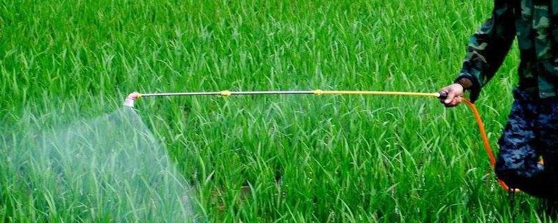 丙森锌能与磷酸二氢钾混用吗 丙森锌与磷酸二氢钾混用对水稻危害严重吗