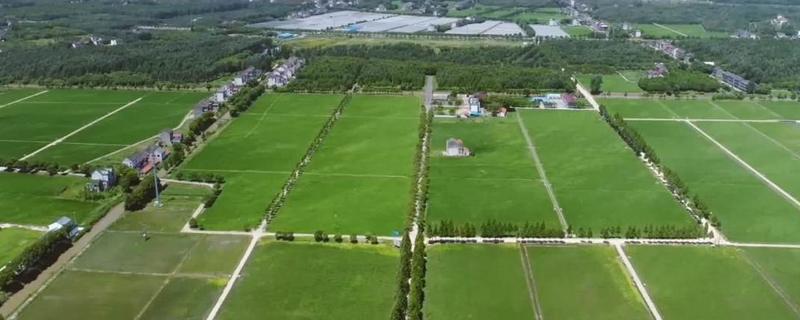 怎么确定是基本农田，一般农用地和基本农田有什么区别