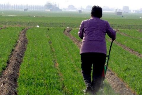 一年四季的农事有什么