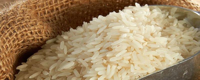 东北大米是水稻还是旱稻 东北大米是旱稻吗
