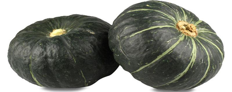 贝贝南瓜种植留瓜方法(南瓜贝贝种植技术)