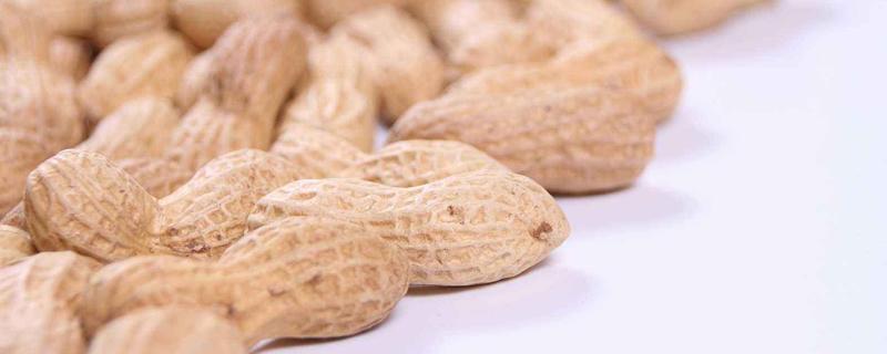 不伤苗的花生除草剂（不伤苗的花生除草剂对人有害吗）