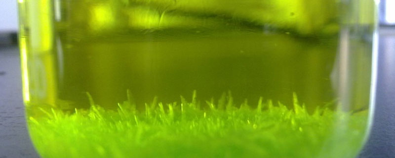 为什么三草酸合铁 为什么三草酸合铁酸钾到最后重结晶无法析出