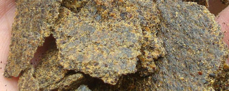 菜籽饼怎样直接做底肥(菜籽饼怎么做肥料)