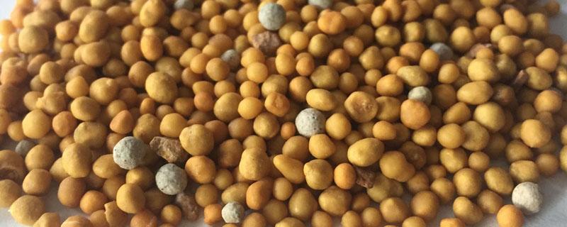 奥绿缓释肥一盆放几颗 奥绿缓释肥多久可以追肥