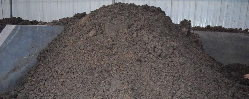 鸡粪埋在土里多久发酵 把鸡粪埋土里要多久时间发酵