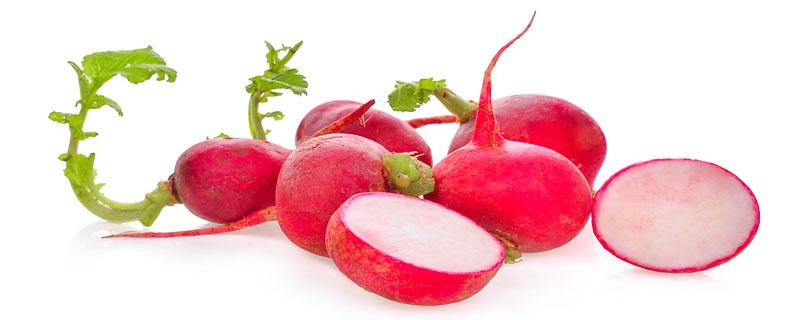 樱桃小萝卜什么时候种植 樱桃小萝卜种植时间