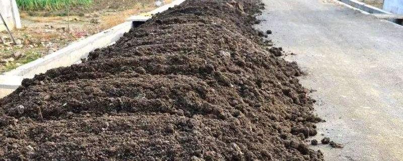 快速自制农家肥 怎么自制农家有机肥