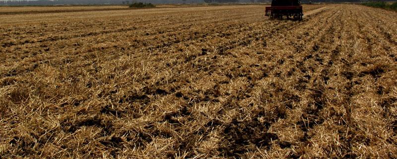 齐齐哈尔烧秸秆时间(黑龙江禁烧秸秆时间)