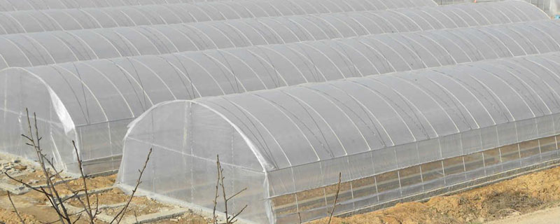 大棚弧度尺寸如何计算 大棚弧度尺寸如何计算要是10米宽3米高怎么计算