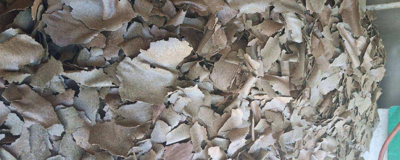 菜油饼肥料要发酵多久（油菜饼做肥料如何发酵）