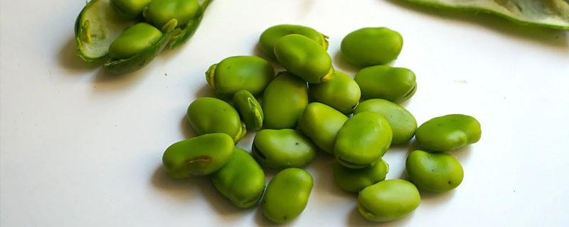 蚕豆壳可以做花肥吗（蚕豆壳可以做肥料吗）