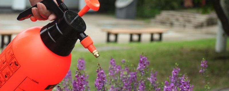 海藻浓缩营养液怎么用 海藻浓缩营养液怎么使用