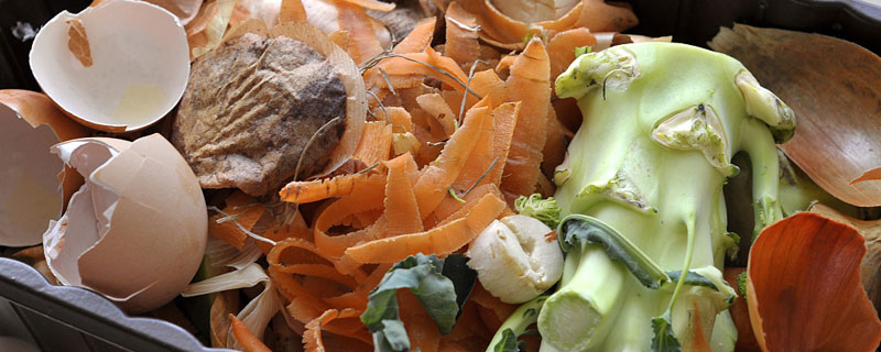 家庭厨余沤肥新方法 厨余沤肥的做法