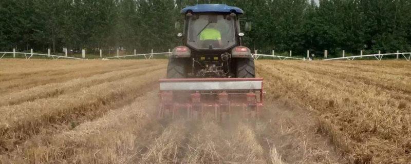 免耕机种玉米减产吗 免耕播种玉米会减产吗