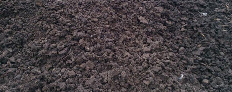 生物肥对人体有害吗