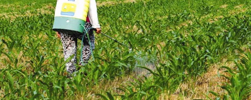 阔世玛除草剂使用技术 世玛与阔世玛除草剂区别