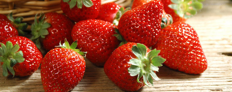 草莓种植时间和方法 四季草莓种植时间和方法