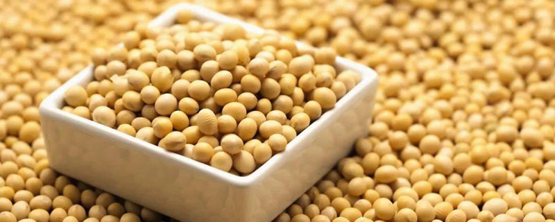 大豆沤肥属于什么肥 大豆属于什么肥料